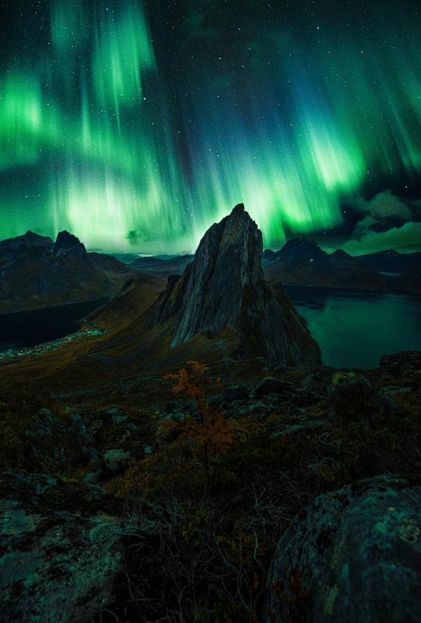 Polar Panorama Lodge Fjordgard Екстер'єр фото